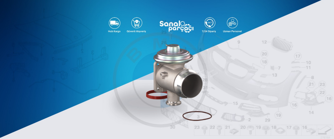 Bmw E36 Egr Valfi Arızası