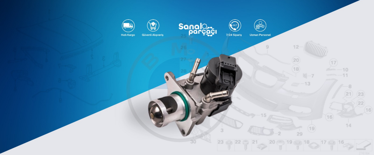 Bmw E87 Egr Valfi Arızası