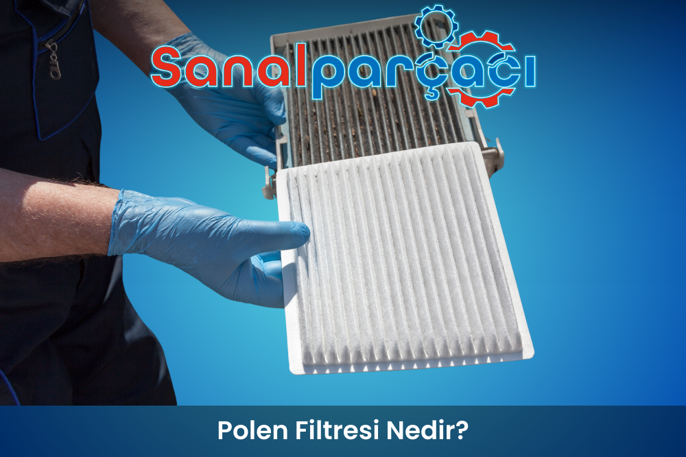 Polen Filtresi Nedir?