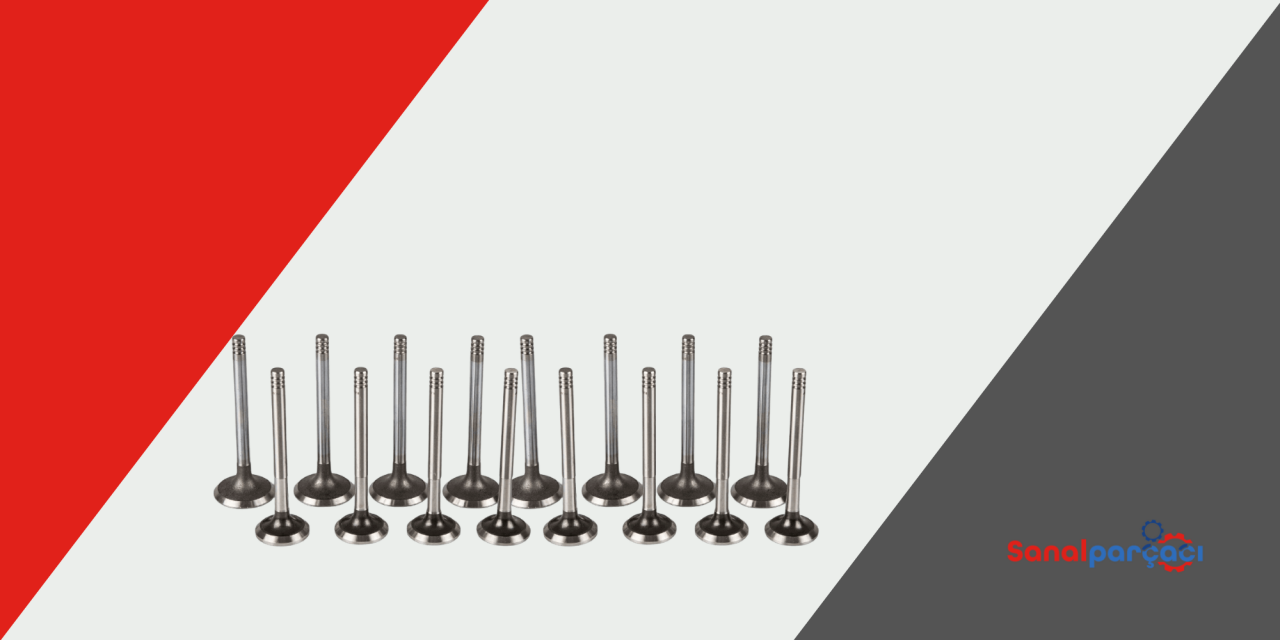 Subap Nedir? Fonksiyonları ve Türleri | Sanal Parçacı