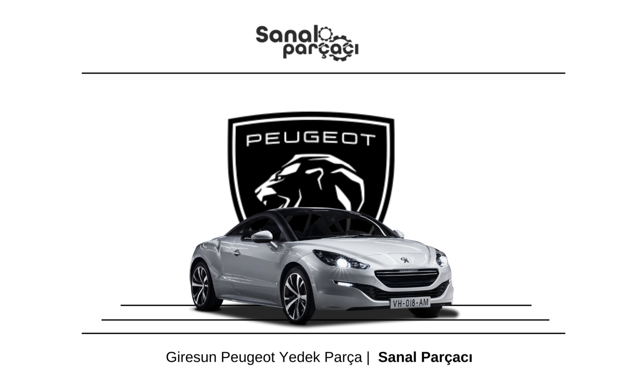 Giresun Peugeot Yedek Parça Gönderimi 