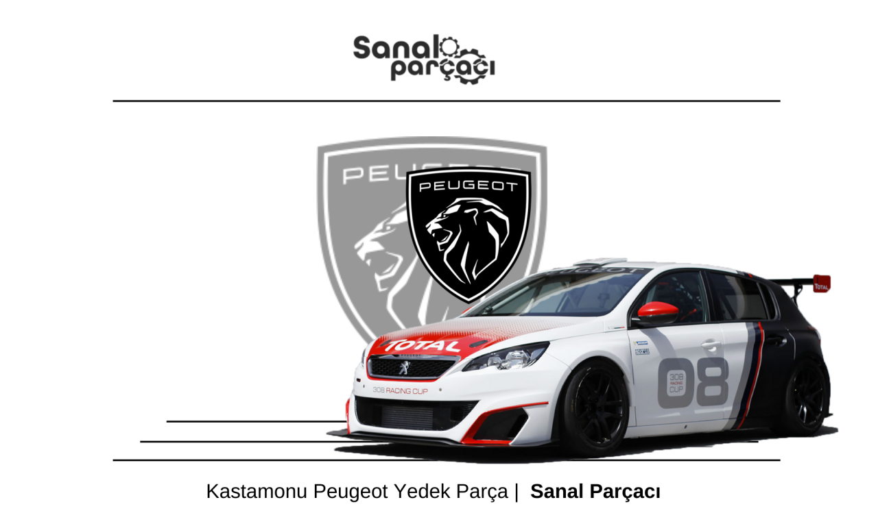 Kastamonu Peugeot Yedek Parça Gönderimi