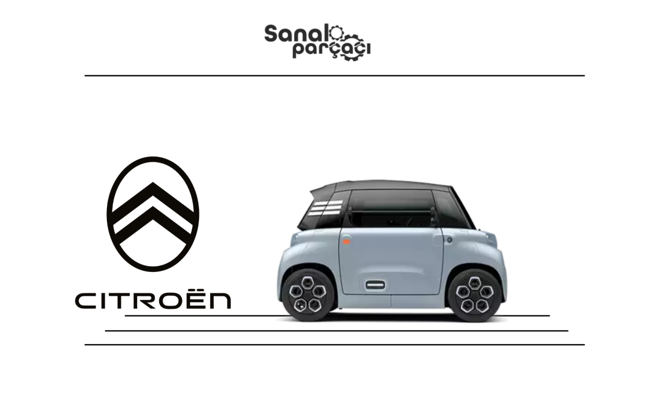 Malatya Citroen Yedek Parça Gönderimi