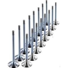 Peugeot 206 2.0 16 Valf Benzinli Subap Takımı Emme Eksoz Güneş Marka 094899 - 094999