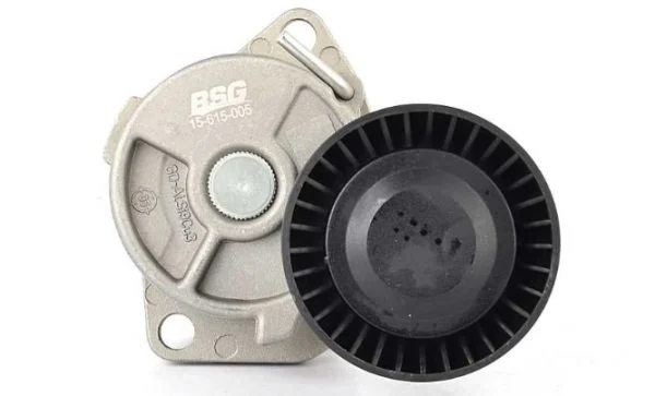 Bmw 3 Serisi E46 Kasa M43 Kayış Gergi Kütüğü Komple Bsg Marka 15-615-005