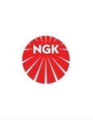 Mercedes W164 Ateşleme Bujisi Ngk Marka A0031591203