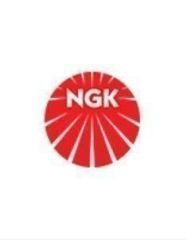 Mercedes W169 Ateşleme Bujisi Ngk Marka A0031591203