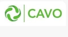 Mercedes W205 Vites Kol Lastiği Cavo Marka A2109920010