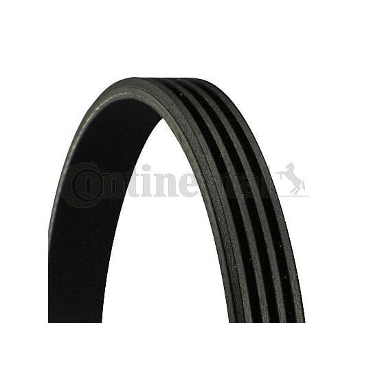 Fiat Albea 1.6 16V Klima Kompresör Kayışı CONTITECH Marka 71718838