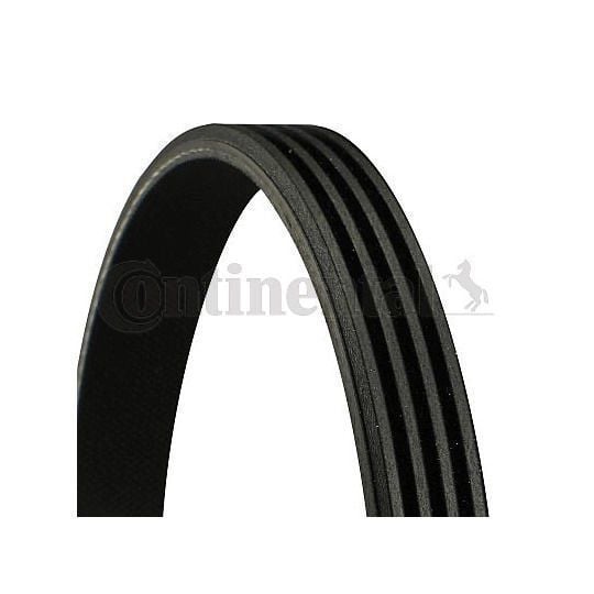 Fiat Palio 1.6 16V Klima Kompresör Kayışı CONTITECH Marka 71718838