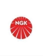 Mercedes W212 Ateşleme Bujisi Ngk Marka A0031591203