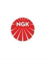 Mercedes W245 Ateşleme Bujisi Ngk Marka A0031591203