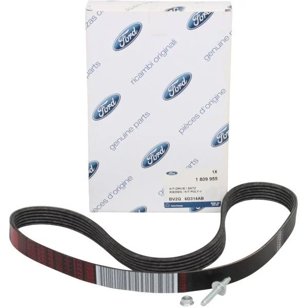 Ford Focus 2013-2018 1.25 Benzinli V Kayışı Ford Orijinal BV2Q6D314AB