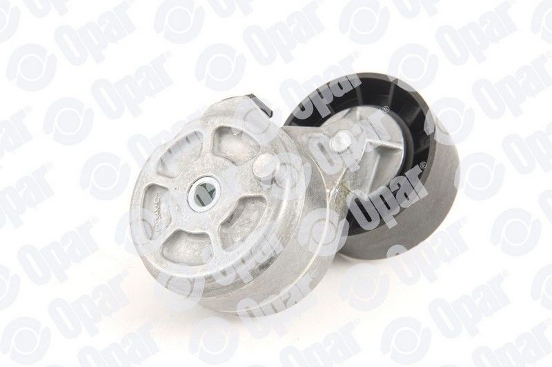 Fiat Albea 1.6 16V Alternatör Gergi Rulmanı Orijinal OPAR 71747798