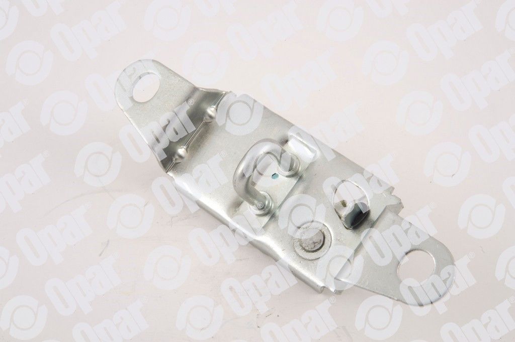 Fiat Albea 1.4 8V Bagaj Kilit Karşılığı Orijinal OPAR 46795477