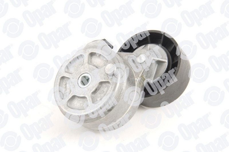 Fiat Siena 1.6 16V Alternatör Gergi Rulmanı Orijinal OPAR 71747798