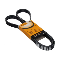 Bmw E46 Kasa 320i Motor V Kayışı Continental Marka 6PK1538