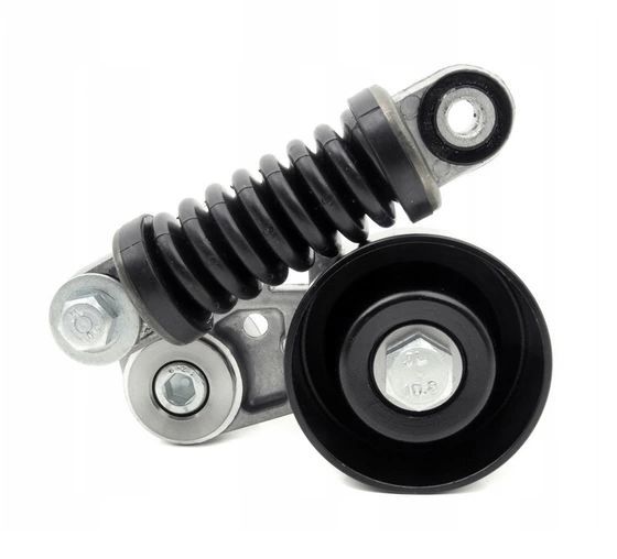 Peugeot 206 1.6 Benzinli V Kayış Gergi Kütüğü Yaylı Model Swag Marka 5751.52