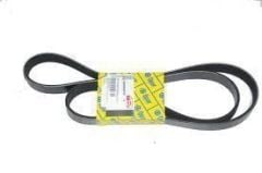 Fiat Albea  Alternatör Kayışı 1.3Jtd 6K1325 Orijinal OPAR 55202621E